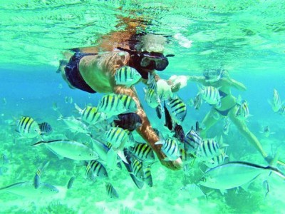 cayman-island-activities